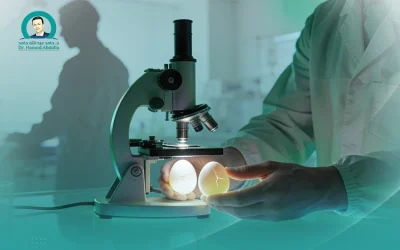 عملية استكشاف ميكروسكوبي للخصية